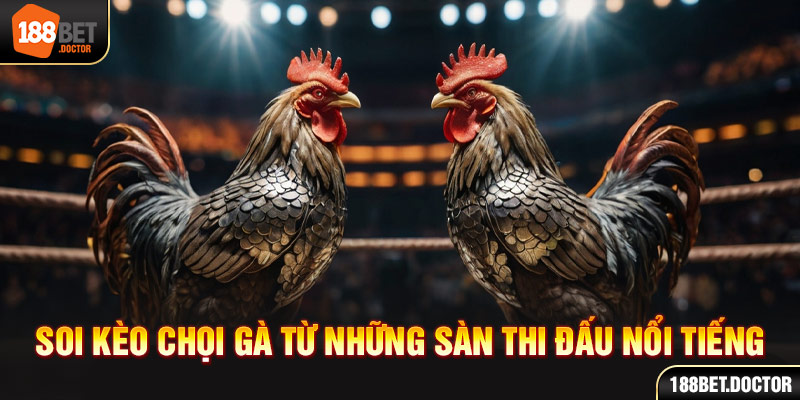 onlybet