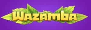 Bleize