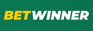 333bet download